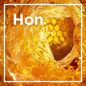 dmi ingredientlp 02 honey stills intl mar2023