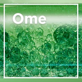dmi ingredientlp 02 omega6 stills intl mar2023