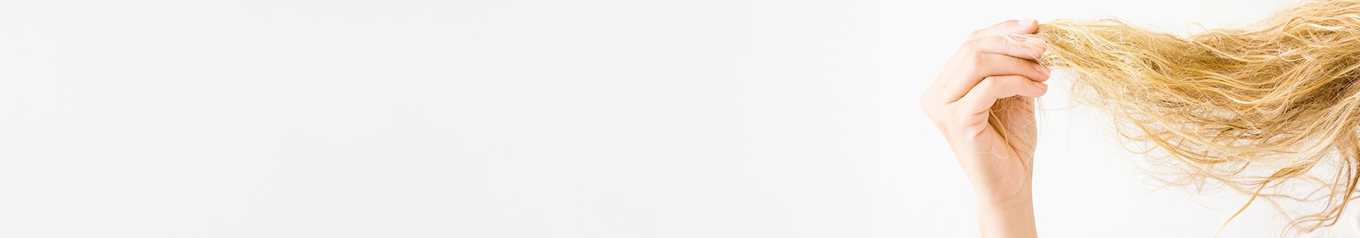 AdobeStock 217327253 1920x336