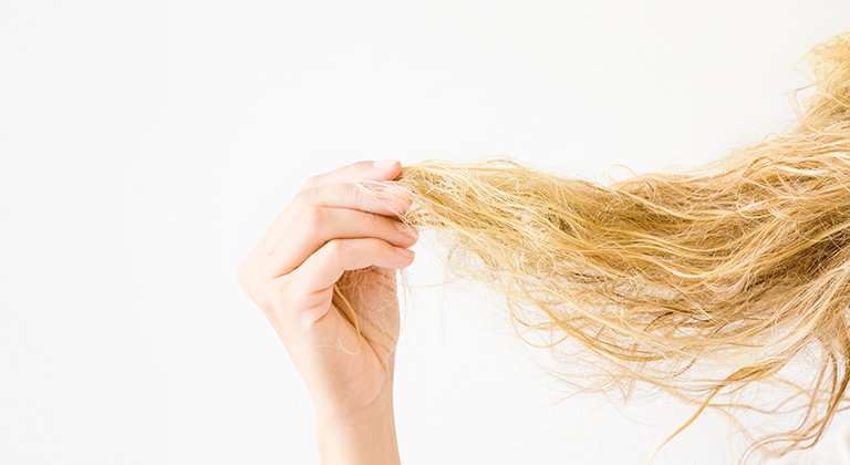 AdobeStock 217327253 768x420