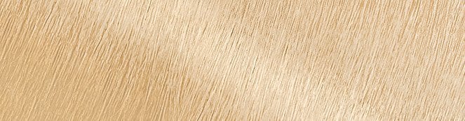 	CS_11-3 color sensation