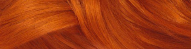 miedziany blond garnier color naturals