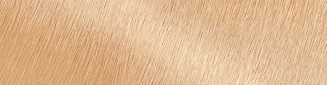 9.13 garnier color naturals