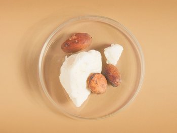 800x600 content block maso kakaowe