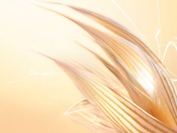 800x600 content block mleko owsiane