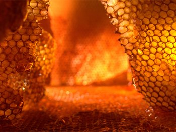 800x600 content block wosk 2