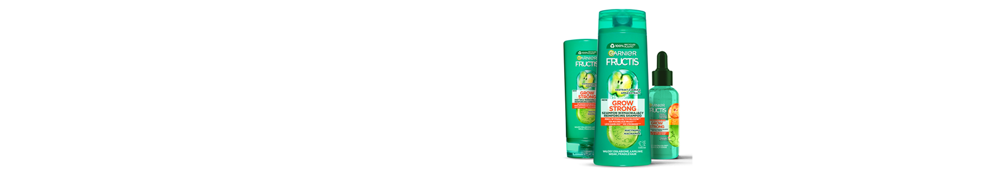 Garnier Fructis