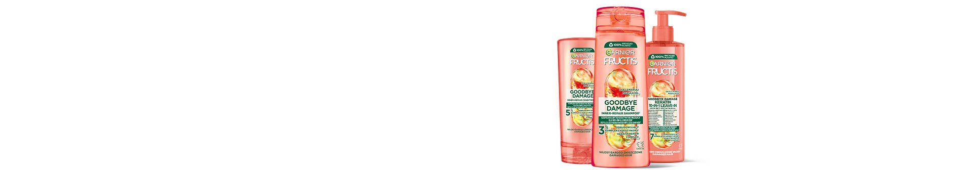 Garnier Fructis