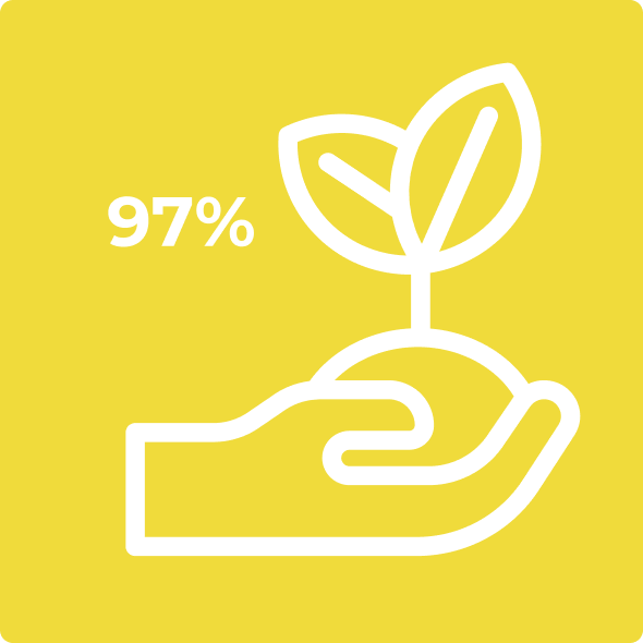 Biała ikona dłoni z sadzonką o dwóch liściach, napis „97%”, na żółtym tle