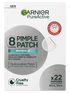 Garnier Skincare