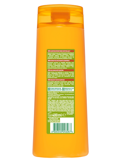 Garnier Fructis