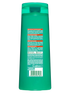 Garnier Fructis