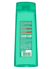 Garnier Fructis