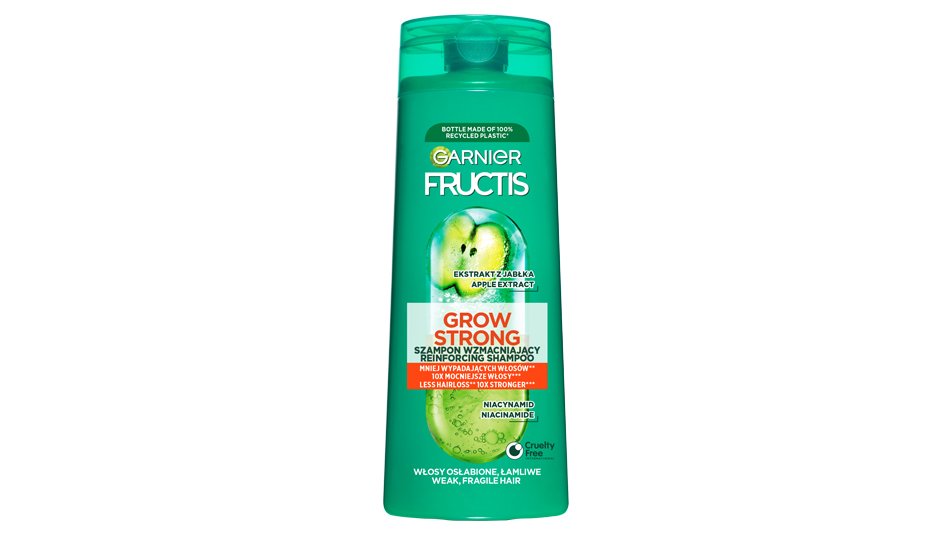 Garnier Fructis