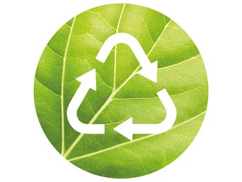 DMI CORPO GREENBEAUTY BP MODULE5 JUN23