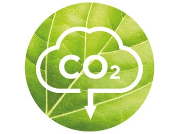 DMI CORPO GREENBEAUTY BP MODULE6 JUN23