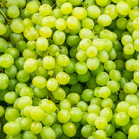 winogrono