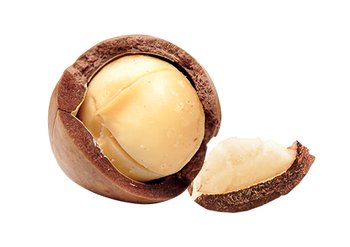 macadamia